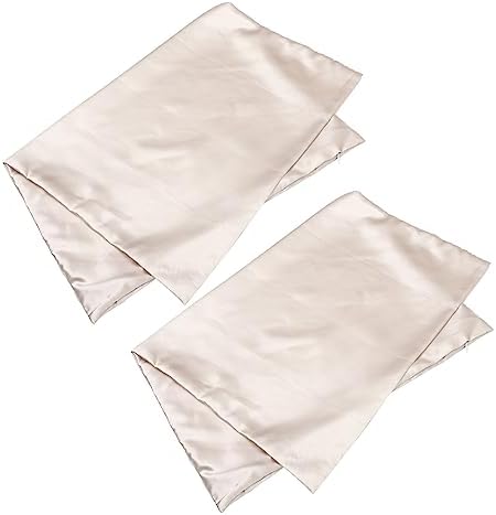 DECHOUS 2pcs Square Pillowcases with Zipper in Beige Silk