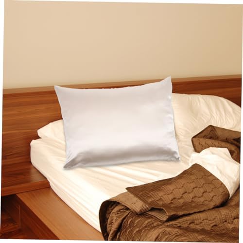 DECHOUS 2pcs Square Pillowcases with Zipper in Beige Silk