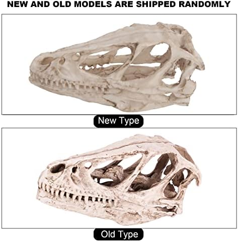 Watris Veiyi Dinosaur Skull Statue Resin Material