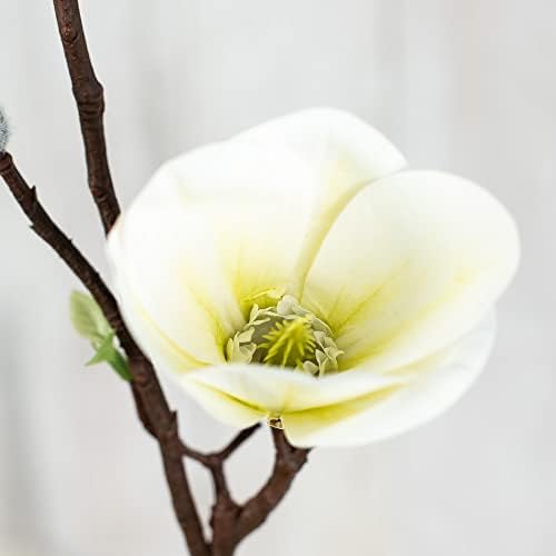 Factory Direct Craft Artificial Cream Magnolia Branch - 31 Inches