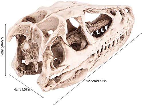 Watris Veiyi Dinosaur Skull Statue Resin Material