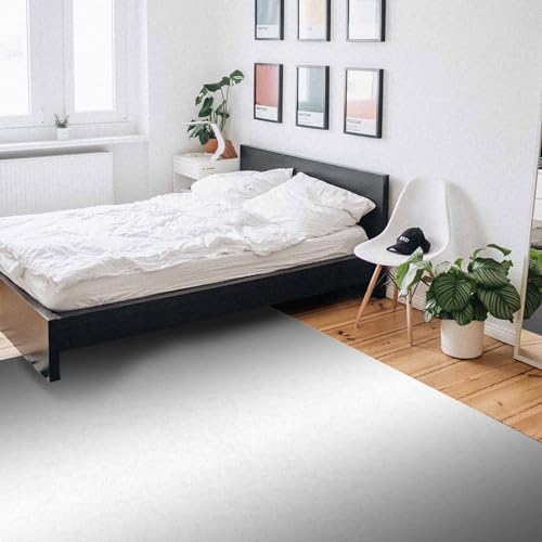 Onekaccu Grey Area Rug 5x7 FT Non-Slip Washable