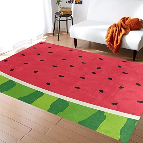 Ocervd 2x4ft Soft Fluffy Area Rug Non Slip Kitchen Hallway Mat