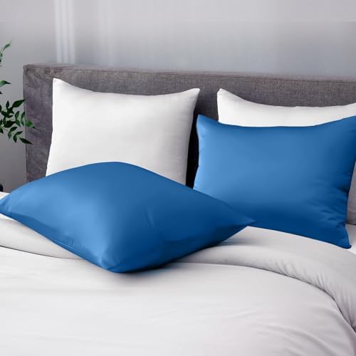 Ltinhome Pure Mulberry Silk Pillowcases Set of 2 1