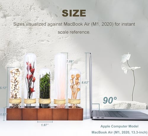 Handcrafted Immortal Plants Bookshelf Decor 5-Piece Set