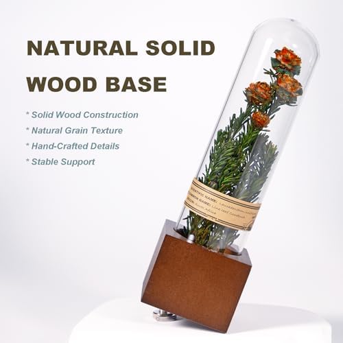 Handcrafted Immortal Plants Bookshelf Decor 5-Piece Set