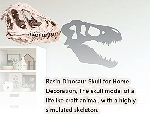Watris Veiyi Dinosaur Skull Statue Resin Material
