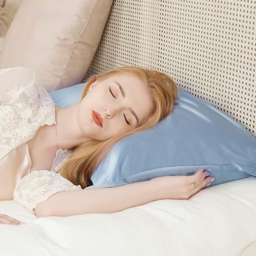 Momelo 100 Pure Mulberry Silk Pillowcase Queen Size 2030