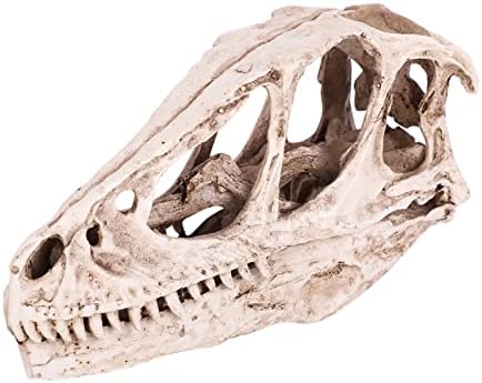 Watris Veiyi Dinosaur Skull Statue Resin Material