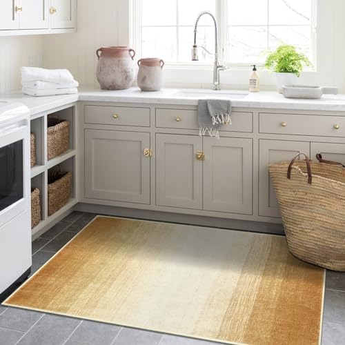Wonnitar Modern Ombre Washable Area Rug 3x5