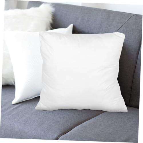 Pillow Insert Protector Cover Antifeather Design