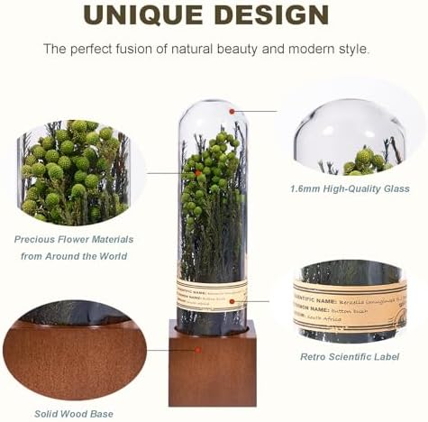 Handcrafted Immortal Plants Bookshelf Decor 5-Piece Set