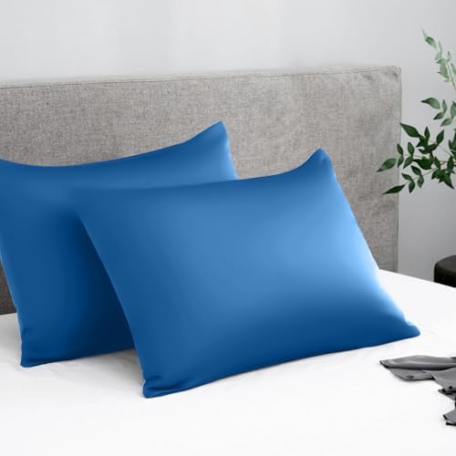 Ltinhome Pure Mulberry Silk Pillowcases Set of 2 1