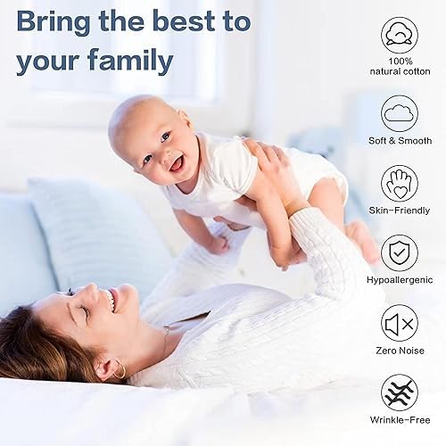 EASYCOT 800 TC Queen Pillowcases 20x30 Set - Silver Stripe