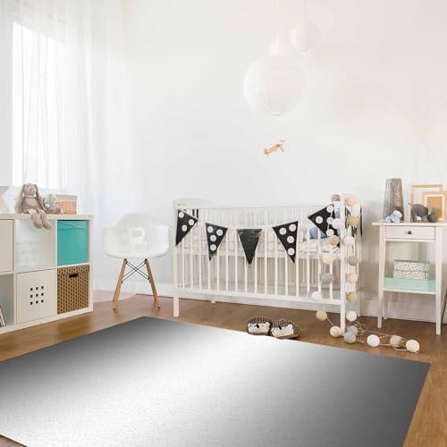 Onekaccu Grey Area Rug 5x7 FT Non-Slip Washable