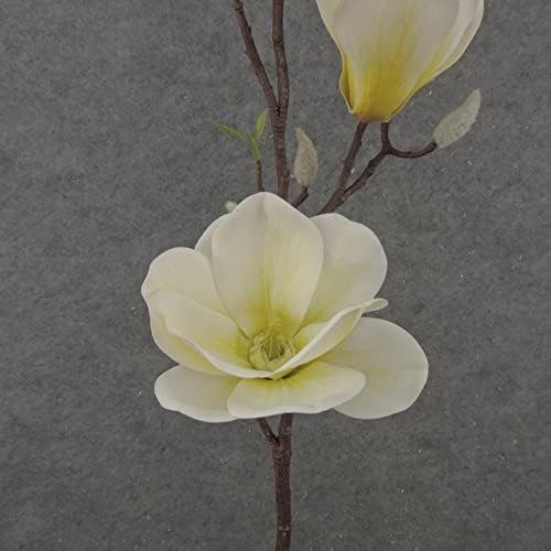 Factory Direct Craft Artificial Cream Magnolia Branch - 31 Inches