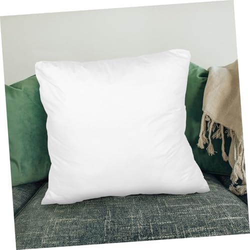 Pillow Insert Protector Cover Antifeather Design