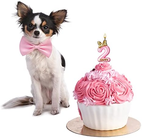 Roowest 11 Pcs Birthday Candle Girl Pink Mouse Decorations