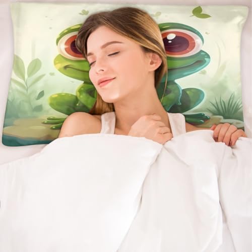 GzLeyigou Cute Frog Satin Pillowcase 20x40in King Size with Zipper