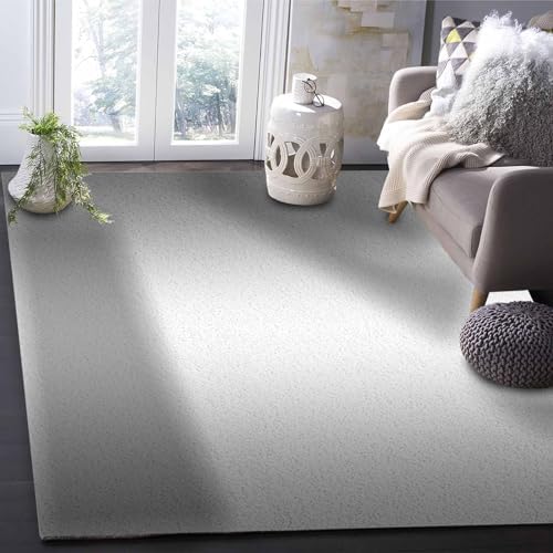Onekaccu Grey Area Rug 5x7 FT Non-Slip Washable