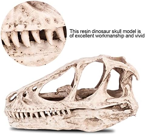 Watris Veiyi Dinosaur Skull Statue Resin Material