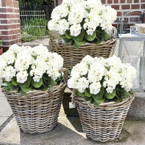 8 Pcs Artificial White Geraniums for Garden Home Decor