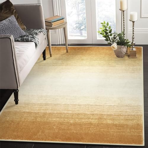 Wonnitar Modern Ombre Washable Area Rug 3x5