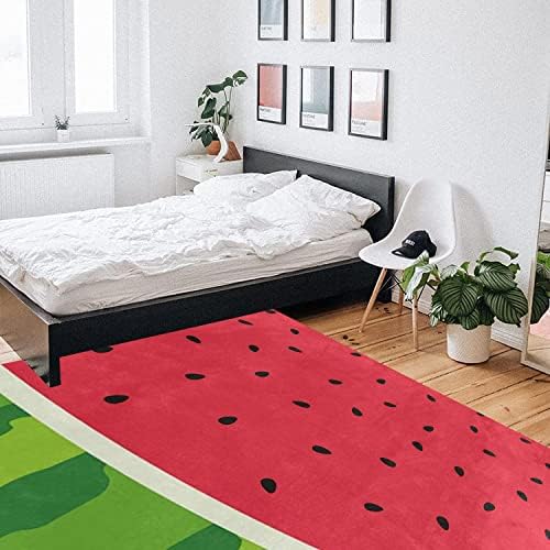 Ocervd 2x4ft Soft Fluffy Area Rug Non Slip Kitchen Hallway Mat