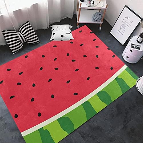 Ocervd 2x4ft Soft Fluffy Area Rug Non Slip Kitchen Hallway Mat