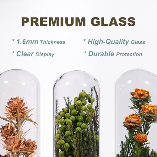 Handcrafted Immortal Plants Bookshelf Decor 5-Piece Set