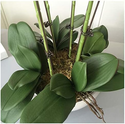 HANRUO High Grade Brown Orchids Artificial Flower Arrangement