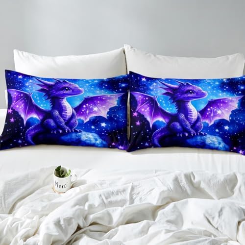 Manfei Galaxy Dragon Queen Sheet Set with 2 Pillowcases