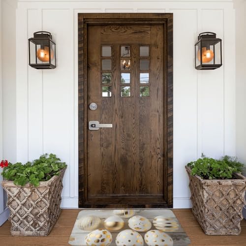 Fxmzoxs Door Mats 24x16 Inches Flannel Non-Slip Carpet Mats