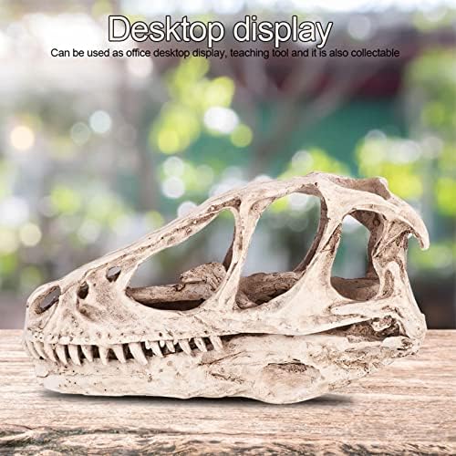 Watris Veiyi Dinosaur Skull Statue Resin Material