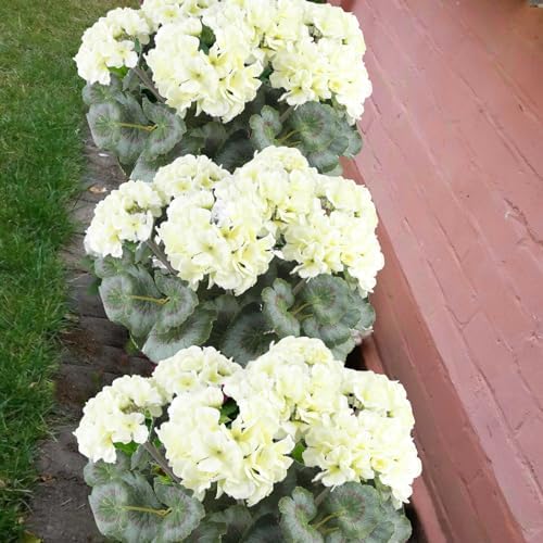 CITYES Artificial Geranium Bushes for Garden Decor