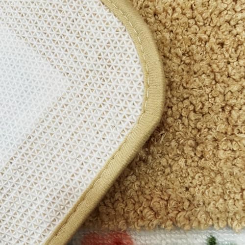 Apioiqa Red Rose Shaggy Area Rug 1771x4921 Inch