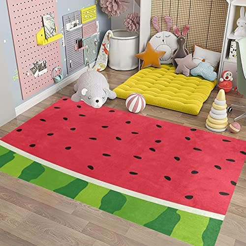 Ocervd 2x4ft Soft Fluffy Area Rug Non Slip Kitchen Hallway Mat