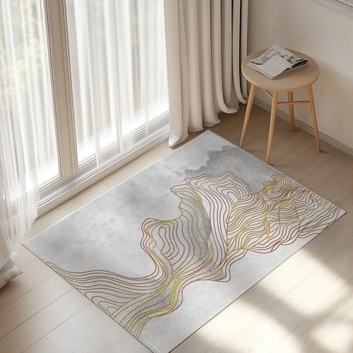 Comfwell 2x3 Door Mat Indoor Entryway Rug 1