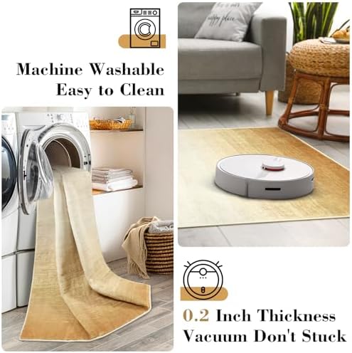 Wonnitar Modern Ombre Washable Area Rug 3x5