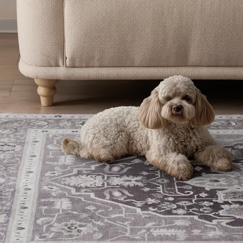 EVERGRACE Faux Wool Area Rug 2x6 Taupe Gray 1