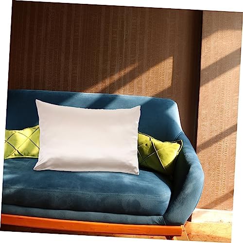 DECHOUS 2pcs Square Pillowcases with Zipper in Beige Silk