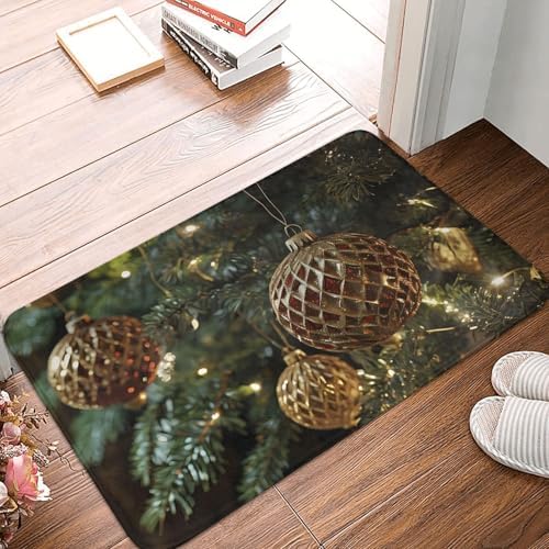 Fxmzoxs 24x16 Flannel Door Mat Non-Slip Carpet