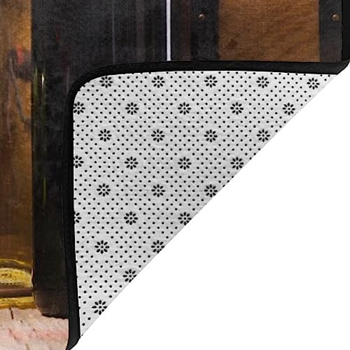 Ultra Soft Area Rug 60x39 Inch - Flannel Fabric with 3D Print Design