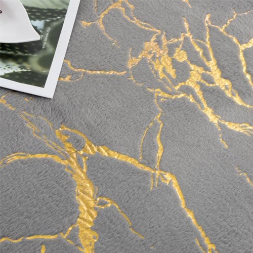 Aimuan Fluffy Velvet Bronzing Rug for Nursery 5x8ft