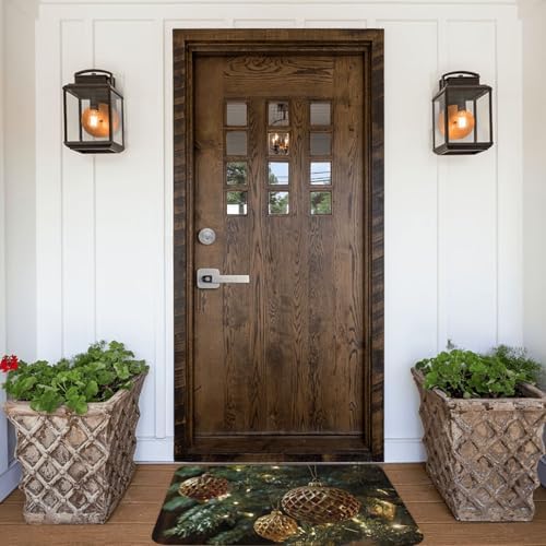 Fxmzoxs 24x16 Flannel Door Mat Non-Slip Carpet