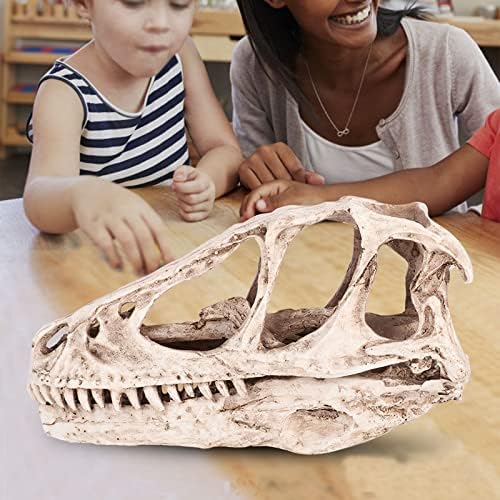 Watris Veiyi Dinosaur Skull Statue Resin Material