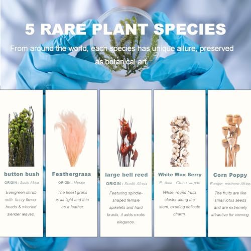 Handcrafted Immortal Plants Bookshelf Decor 5-Piece Set