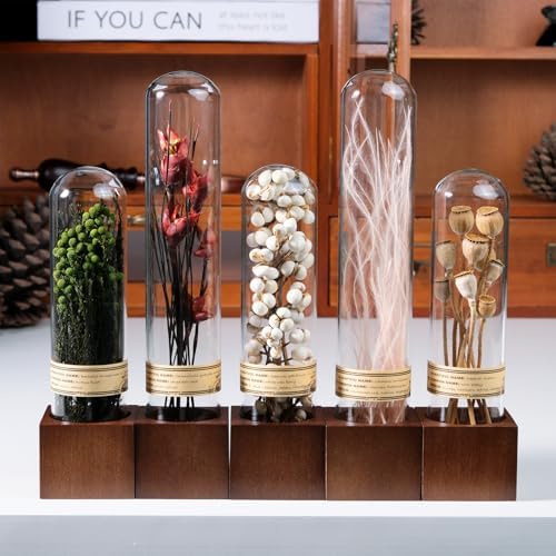 Handcrafted Immortal Plants Bookshelf Decor 5-Piece Set